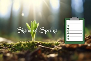 Signs of Spring