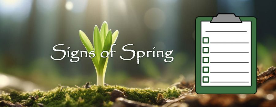 Signs of Spring